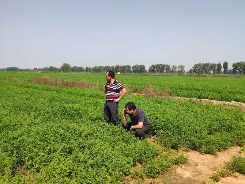 中誠草業(yè)主題教育照片1